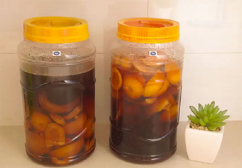 cairan eco enzyme
