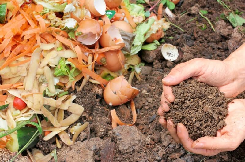 cara membuat kompos sederhana dari sisa makanan sehari-hari