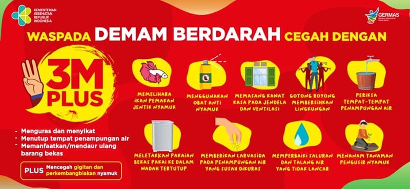 pemberantasan sarang nyamuk dbd