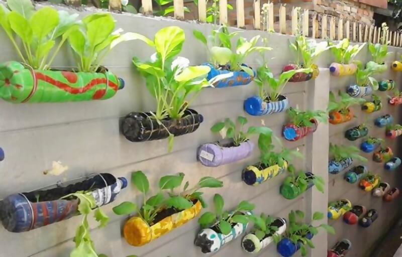 membuat pot tanaman dari botol plastik