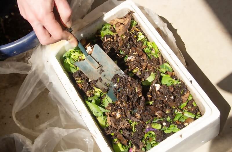 urban farming kompos organik rumahan