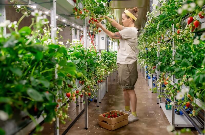 urban farming vertical garden